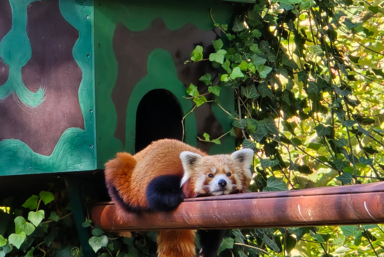 Hotel voco Katowice | Katowice | 1